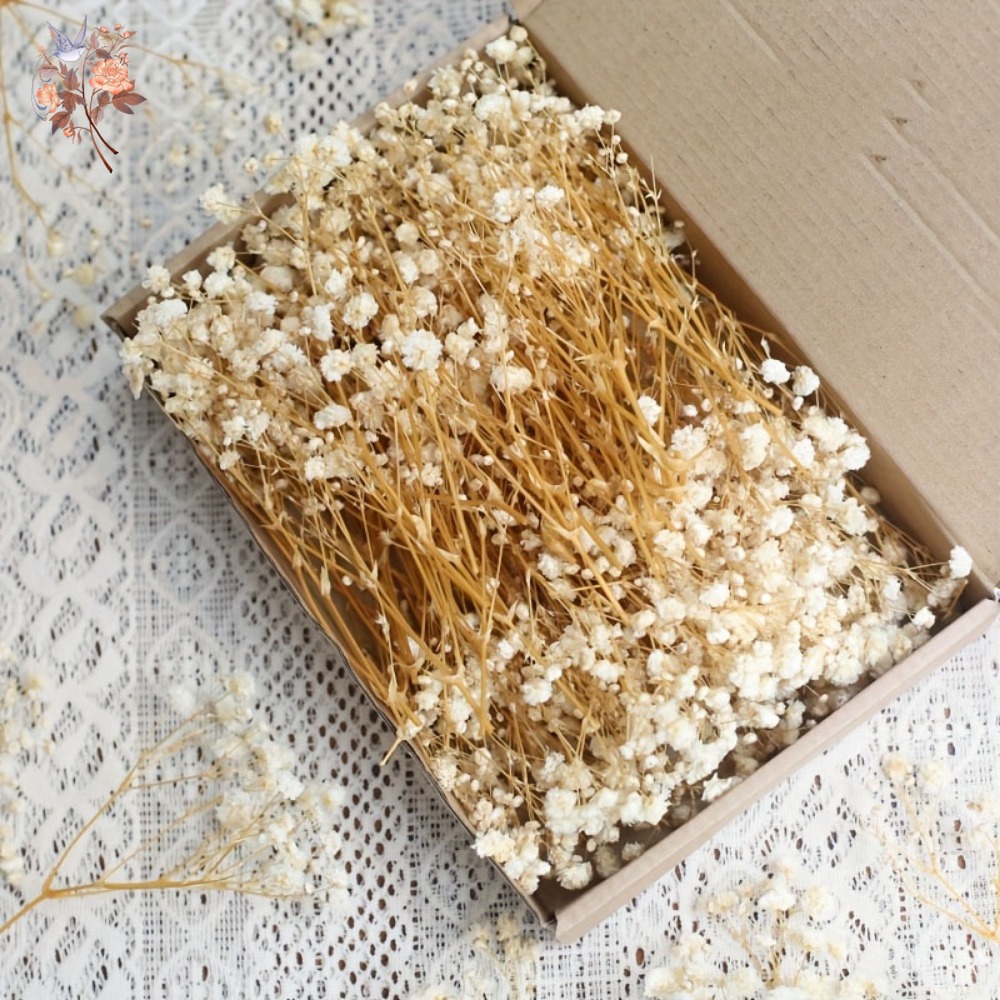 Resin Craft Ideas - 100pcs Bunga Baby's Breath Kering Mini