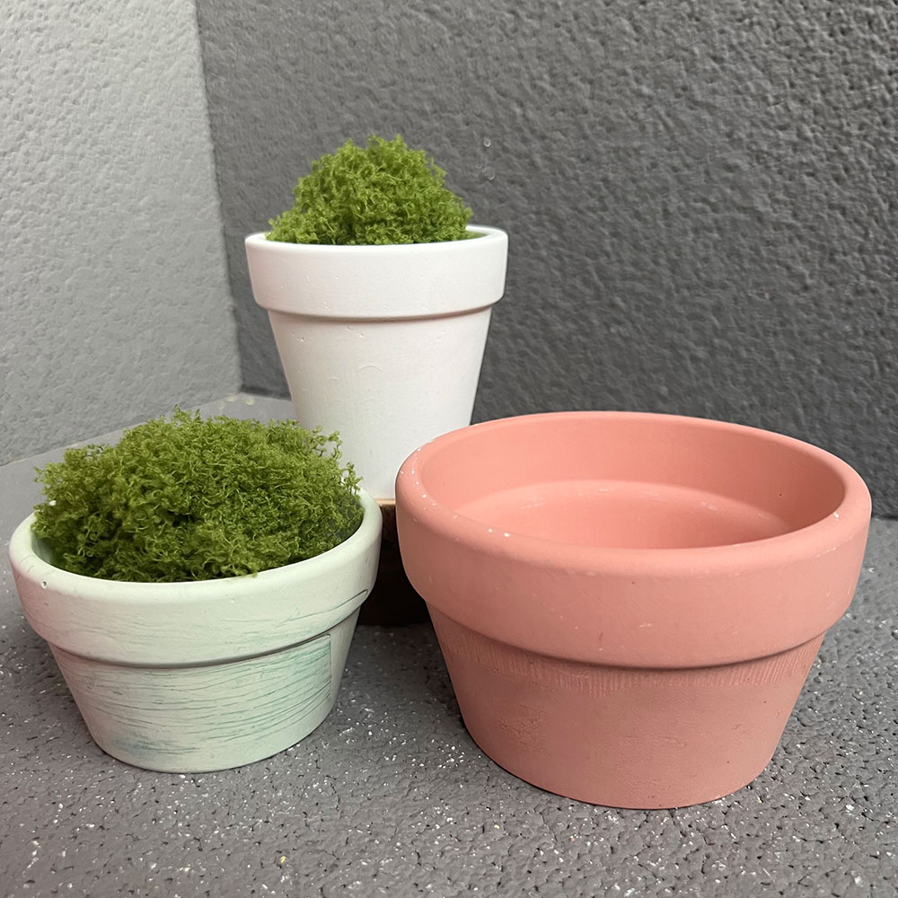 Besar Pot tanaman beton cetaka - Coaster Mold Round ulasan dan harga